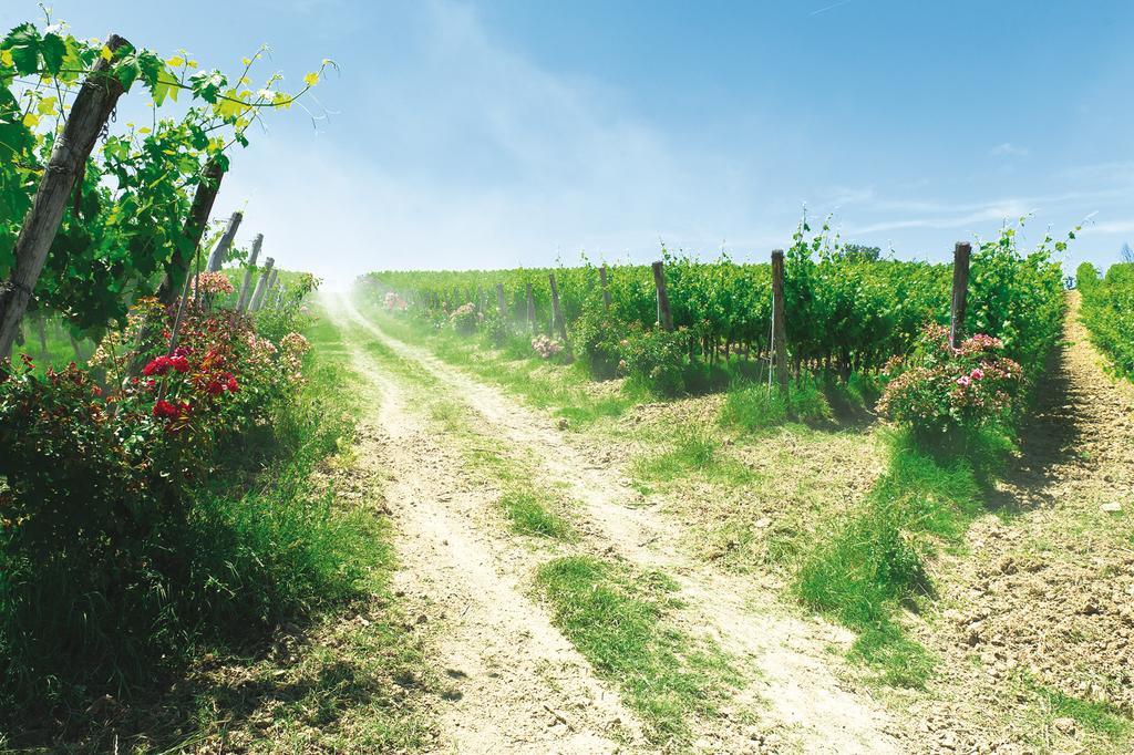 Roccafiore Wine Resort & Spa تودي المظهر الخارجي الصورة